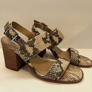 New. Steve Madden. Heels. Snakeskin. Woman. Size 7.